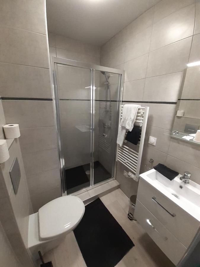 Les Appartements Du Saint Hubert Arcis-sur-Aube Экстерьер фото